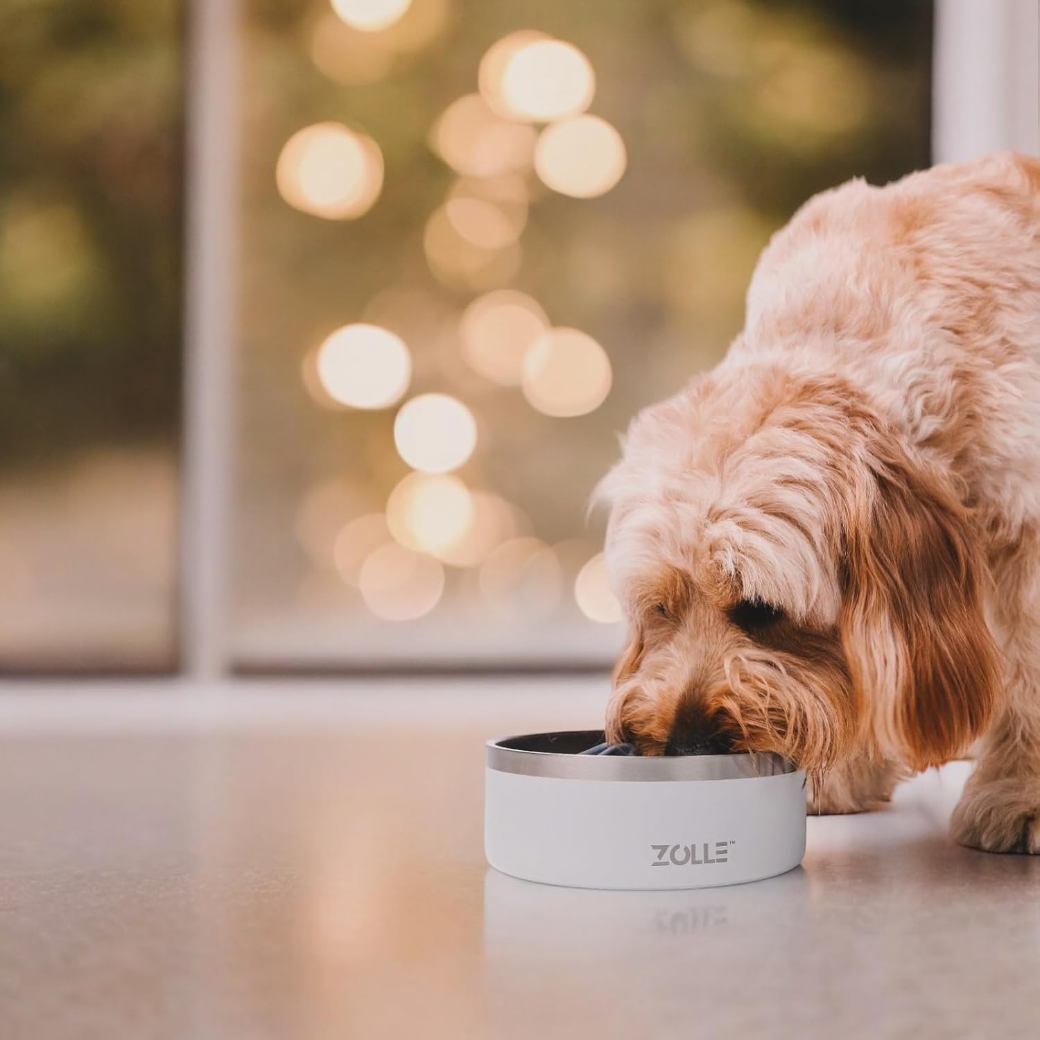 32Oz Stainless Steel Slow Feeder Dog Bowl | Heavy-Duty Non-Slip, Insulated Design | Promotes Healthy Digestion & Prevents Bloat | Food & Water Bowl for Dogs
