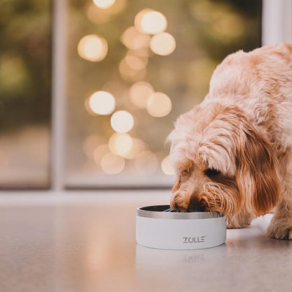 32Oz Stainless Steel Slow Feeder Dog Bowl | Heavy-Duty Non-Slip, Insulated Design | Promotes Healthy Digestion & Prevents Bloat | Food & Water Bowl for Dogs